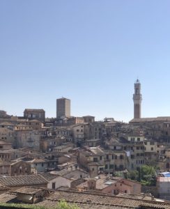 Hillside of Siena