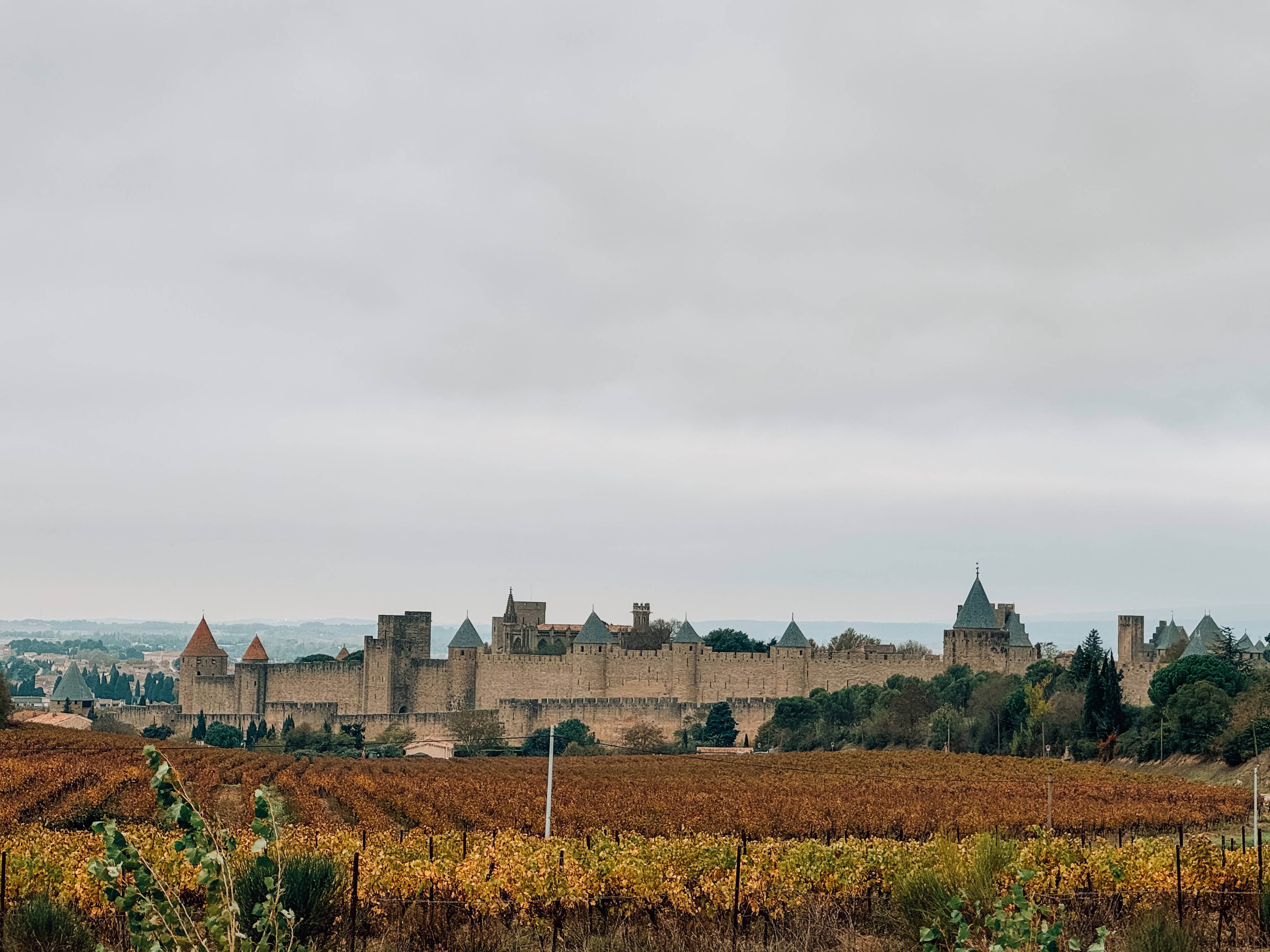 City of Carcassonne behind the vineyards