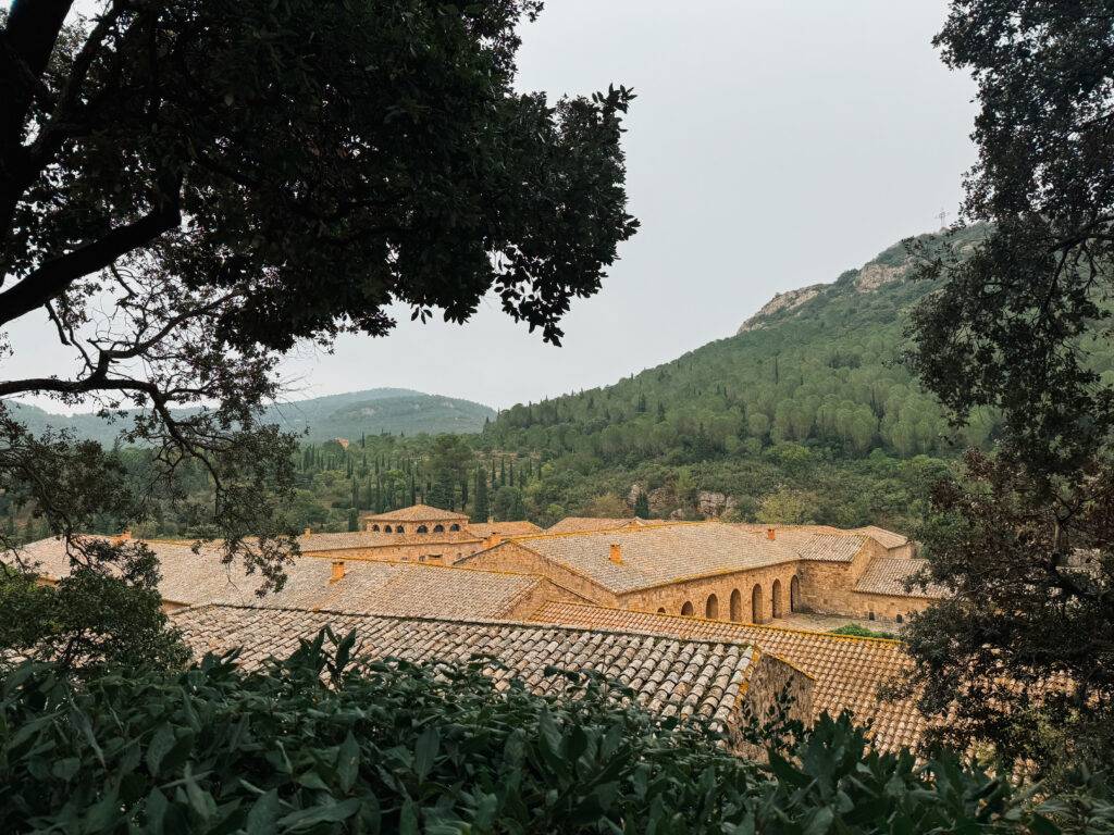 Buildings in the distance surrounded by trees in Languedoc-Roussillon